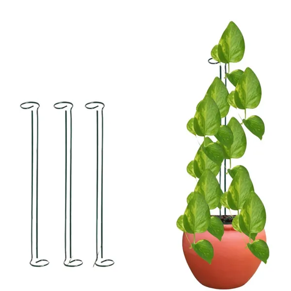 Pack_Of_6_Plant_Supporter_Garden_Stakes_Durable_Plant_Supports_|_For_Garden_And_Outdoor_Use