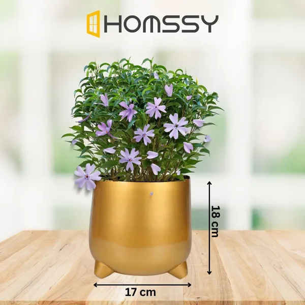 Gold_Iron_Finish_Pot_Metal_Pot_Elegant_And_Durable_Indoor/Outdoor_Planter_|_For_Home_And_Garden_Decor