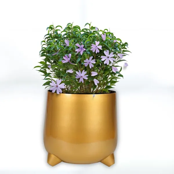 Gold_Iron_Finish_Pot_Metal_Pot_Elegant_And_Durable_Indoor/Outdoor_Planter_|_For_Home_And_Garden_Decor