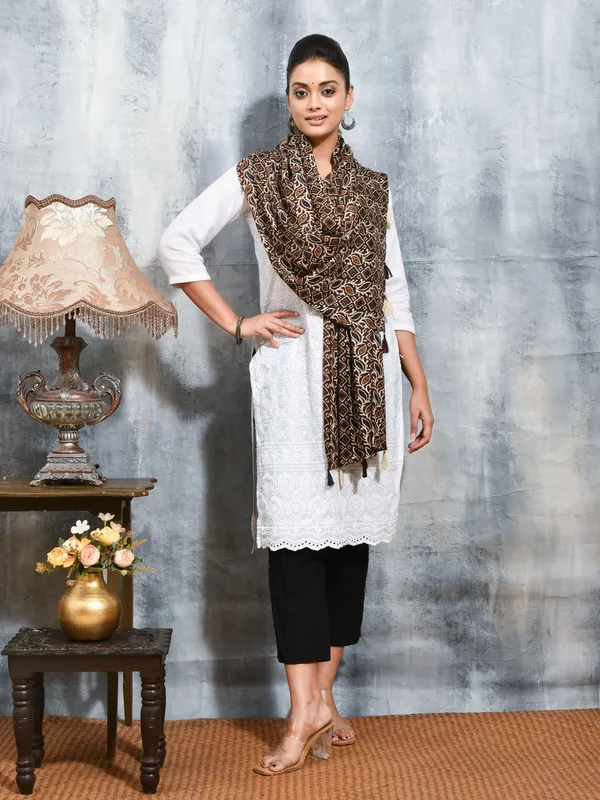 Brown_colour_Viscose_Rayon_Stole_for_Women