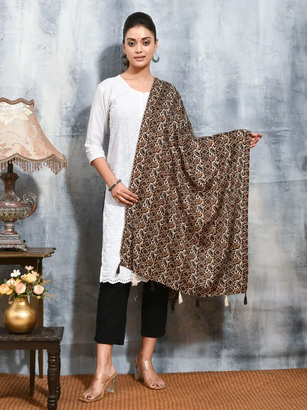 Brown_colour_Viscose_Rayon_Stole_for_Women