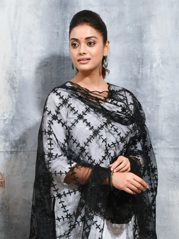 Black_colour_Net_Dupatta_for_Women