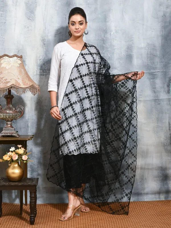 Black_colour_Net_Dupatta_for_Women