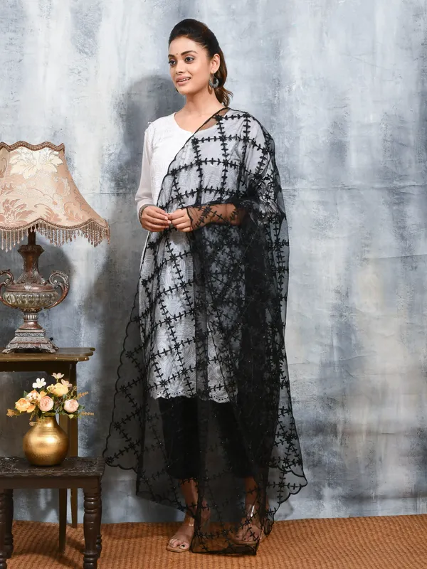 Black_colour_Net_Dupatta_for_Women