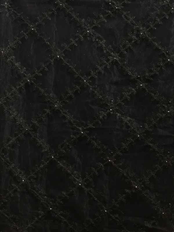 Black_colour_Net_Dupatta_for_Women