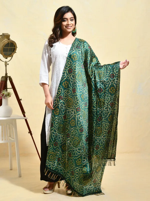 Green_colour_Silk_Blend_Dupatta_for_Women