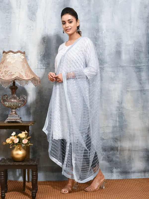 Grey_colour_Net_Dupatta_for_Women