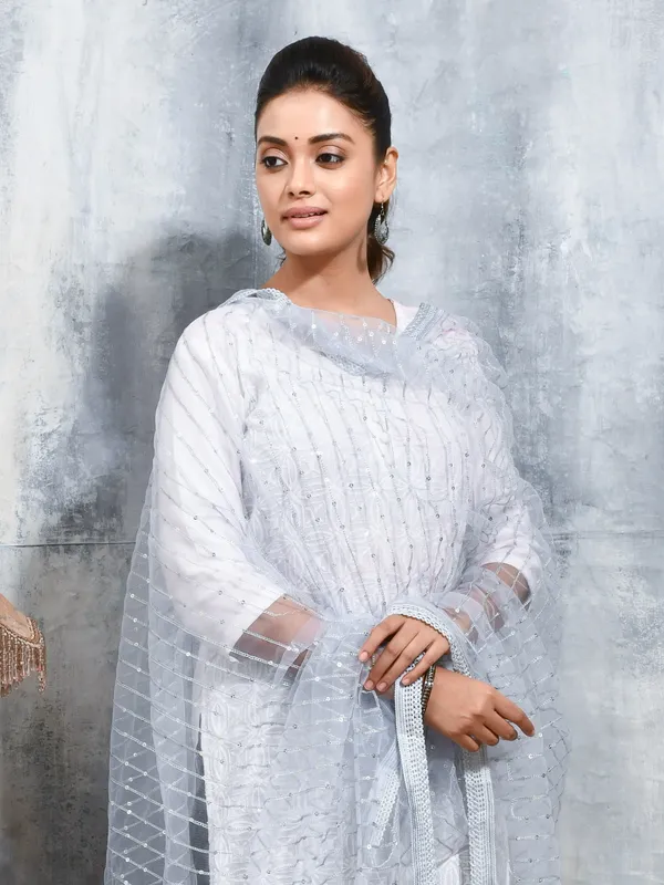 Grey_colour_Net_Dupatta_for_Women
