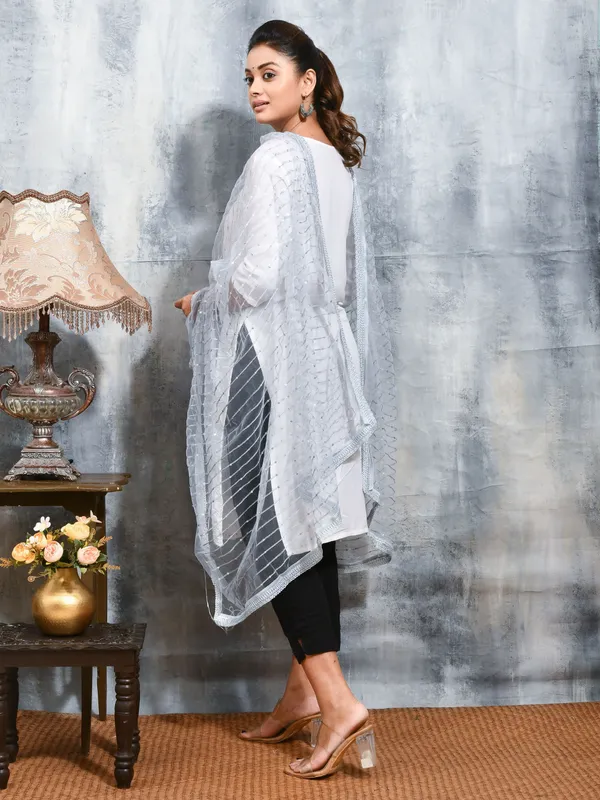 Grey_colour_Net_Dupatta_for_Women