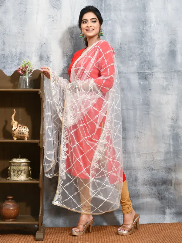 White_colour_Net_Dupatta_for_Women