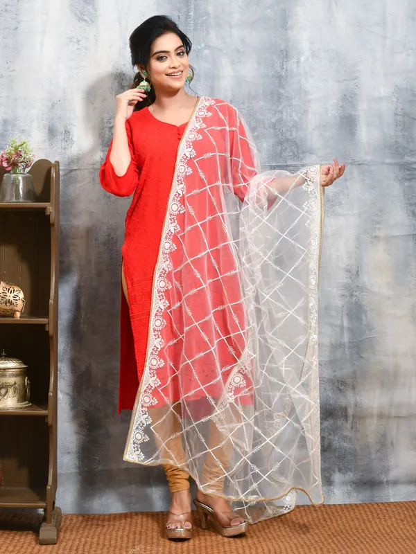 White_colour_Net_Dupatta_for_Women