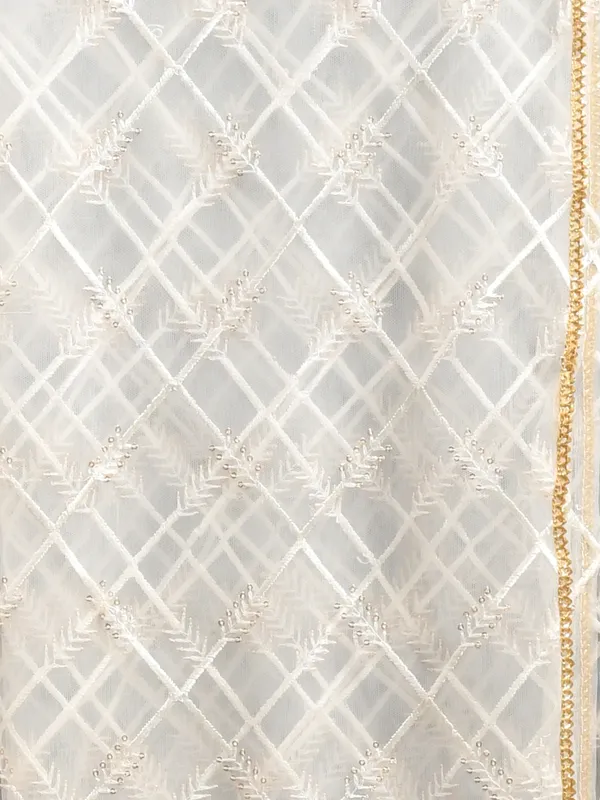 White_colour_Net_Dupatta_for_Women