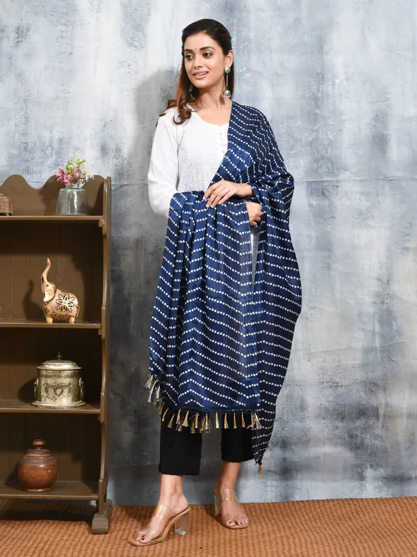 Blue_colour_Silk_Blend_Dupatta_for_Women