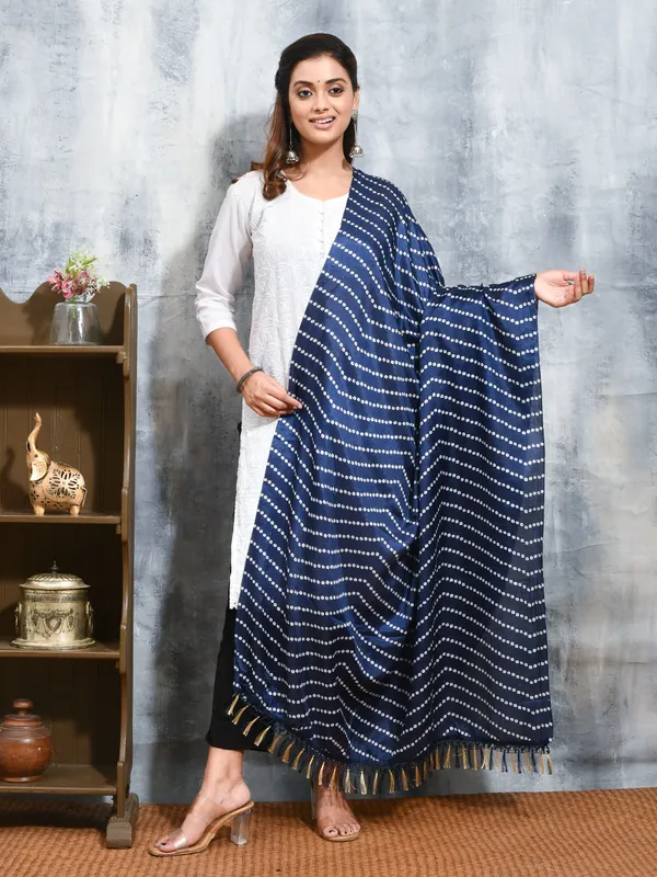 Blue_colour_Silk_Blend_Dupatta_for_Women