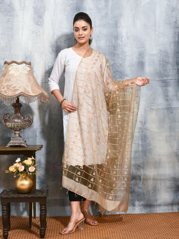 Beige_colour_Organza_Dupatta_for_Women