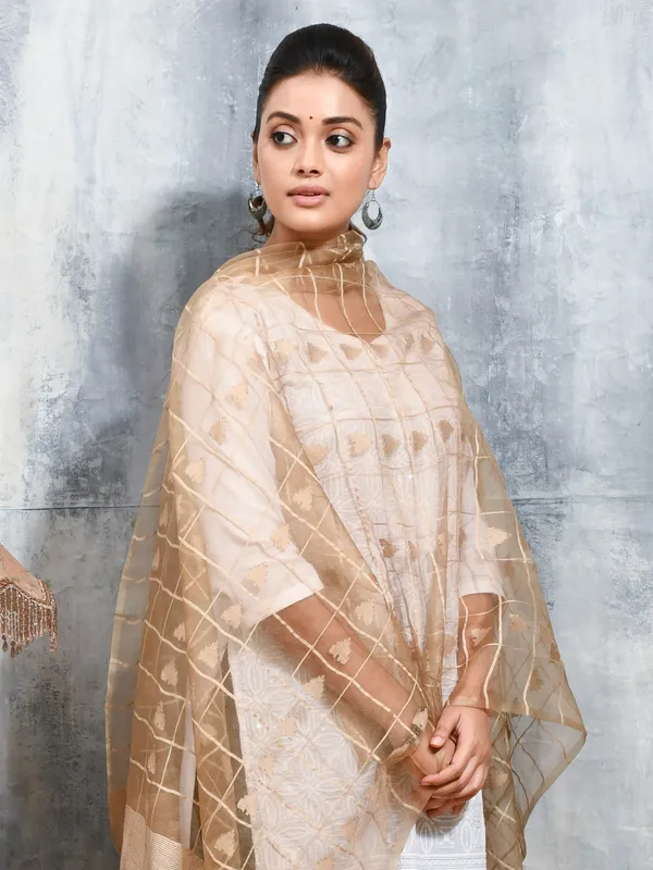 Beige_colour_Organza_Dupatta_for_Women