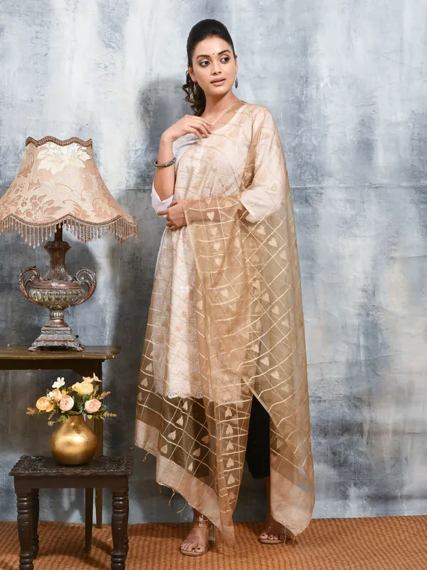 Beige_colour_Organza_Dupatta_for_Women