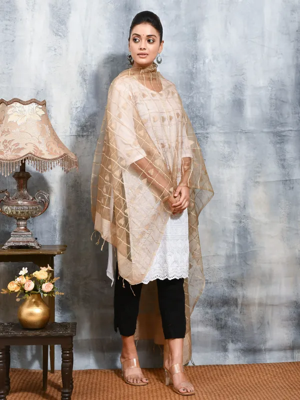 Beige_colour_Organza_Dupatta_for_Women