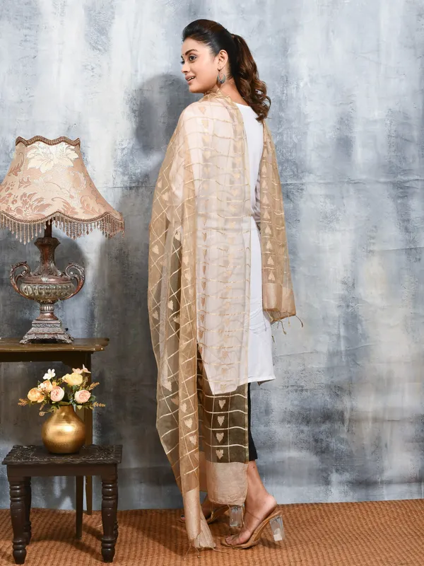 Beige_colour_Organza_Dupatta_for_Women