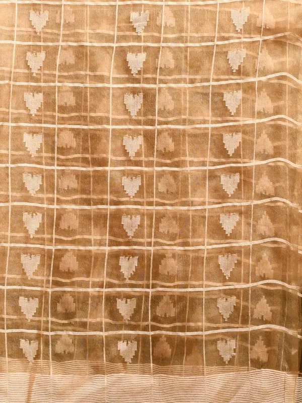 Beige_colour_Organza_Dupatta_for_Women