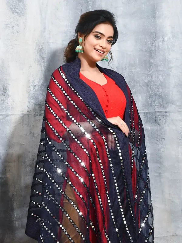 Blue_colour_Organza_Dupatta_for_Women