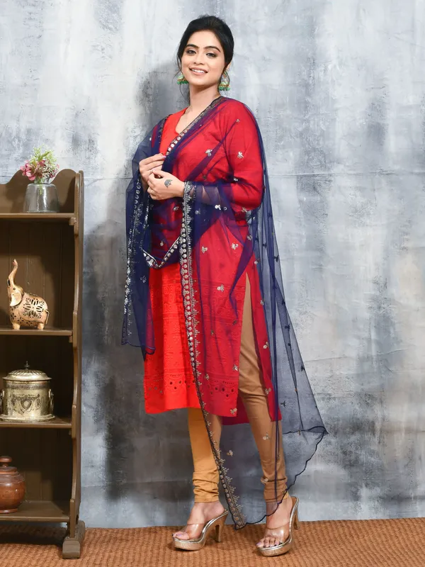 Blue_colour_Net_Dupatta_for_Women