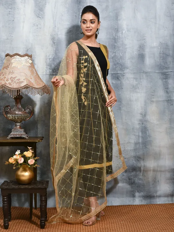 Gold_colour_Net_Dupatta_for_Women