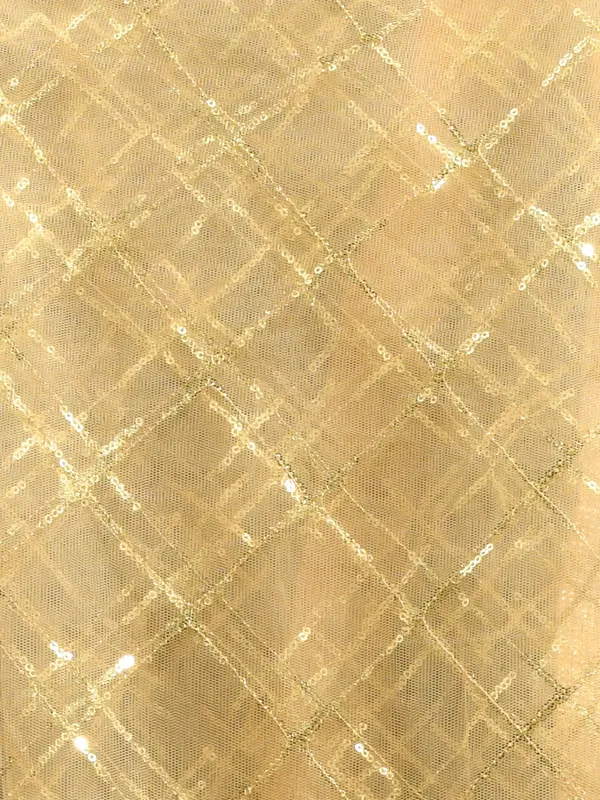 Gold_colour_Net_Dupatta_for_Women