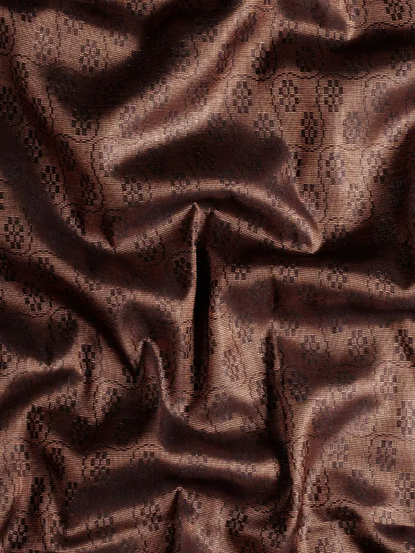 Black_colour_Tissue_Saree_for_Women