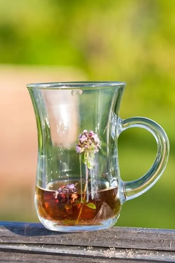 Transparent_Clear_Crystal_Clear_Toughened_Glass_Tea_Cup_With_Convenient_Solid_Handle_Cups_Espresso_Mug_Set_For_Tea_Coffee_Hot/Cold_Drinks_(170_Ml_Set_Of_6)