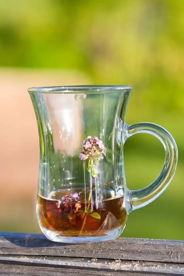 Transparent_Clear_Turkish_Style_Mini_Tea/Espresso/Black_Tea/Green_Tea_Coffee_Cup_Glass_150_Ml_Clear_Glass_Coffee_Mug_(Pack_Of_2)