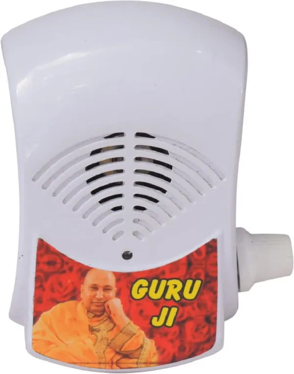 Om_Namah_Shivaya_Shivji_Sada_Sahay_Guruji_Sada_Sahay_(Model_-_1)