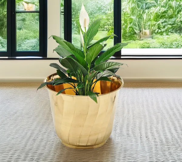 16"_Gold_Brass_Decorative_Planter_For_Garden_&_Home_Decor_Dia_16_x_Height_13.5_inch