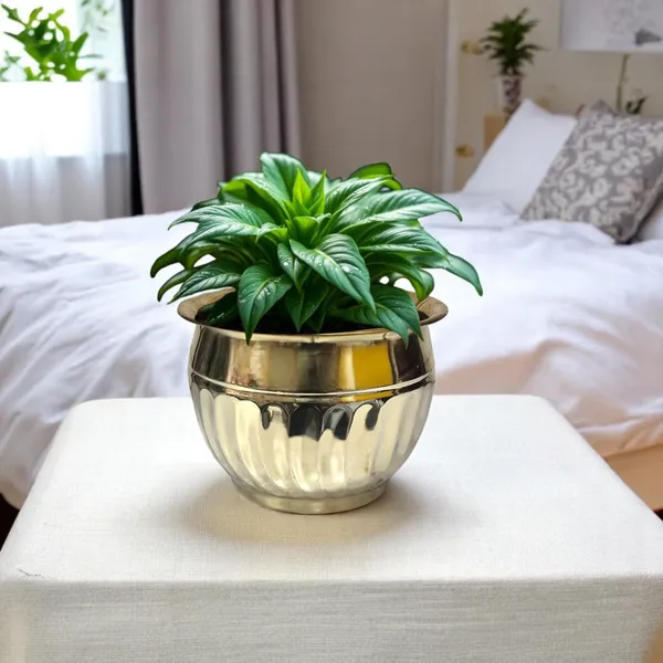 8"_Gold_Brass_Round_Decorative_Planter_For_Garden_&_Home_Decor_Dia_8_x_Height_6_inch