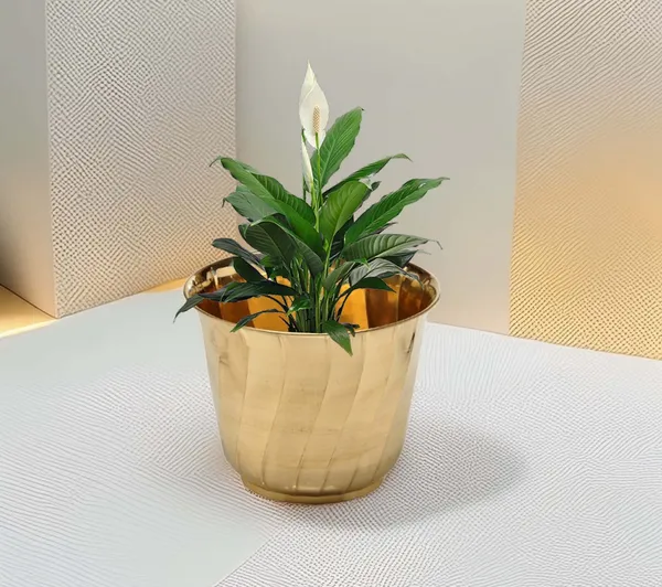 Gold_Brass_Decorative_Planter_For_Garden_&_Home_Decor_|_Dia_14_x_Height_12_inch
