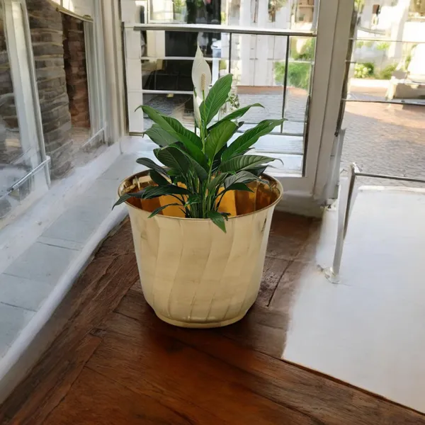 Gold_Brass_Decorative_Planter_For_Garden_&_Home_Decor_|_Dia_14_x_Height_12_inch