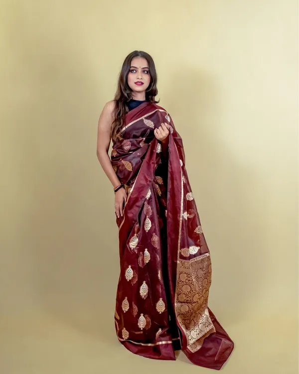 Brown_Banarasi_Brocade_Organza_Silk_Saree