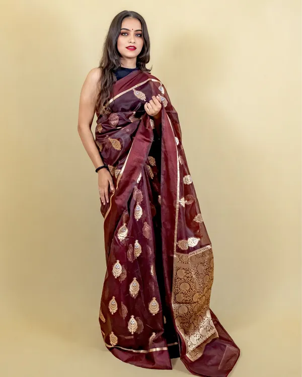 Brown_Banarasi_Brocade_Organza_Silk_Saree