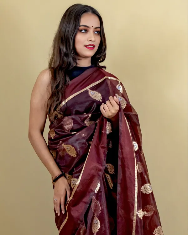 Brown_Banarasi_Brocade_Organza_Silk_Saree