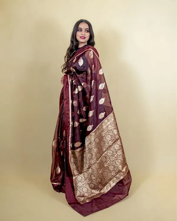 Brown_Banarasi_Brocade_Organza_Silk_Saree