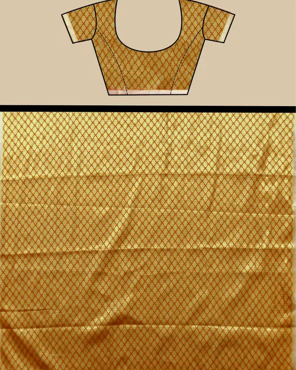 Orange_Banarasi_Brocade_Raw_Mango_Silk_Saree