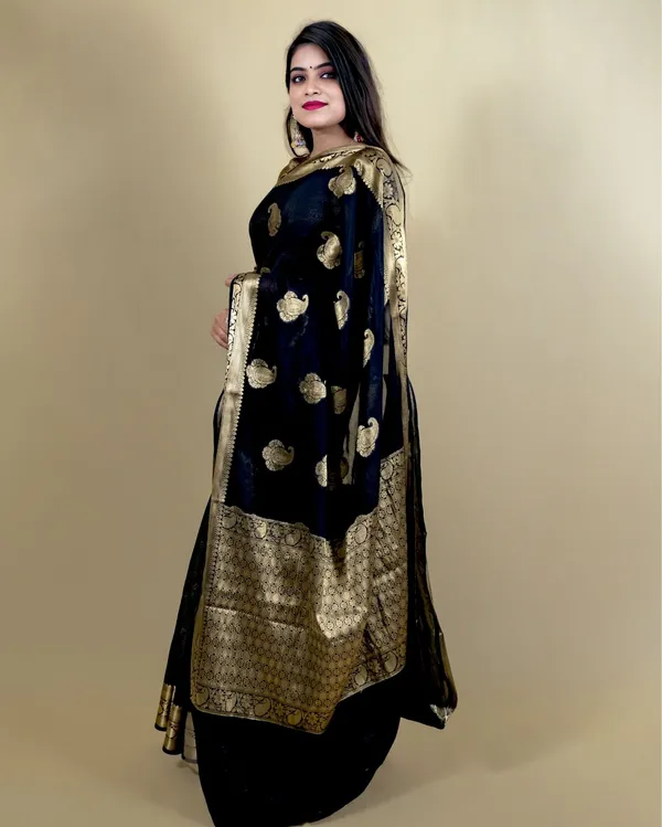 Black_Banarasi_Weaving_Tissue_Silk_Saree