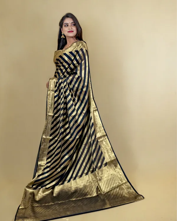 Raven_Black_Banarasi_Weaving_Tissue_Silk_Saree