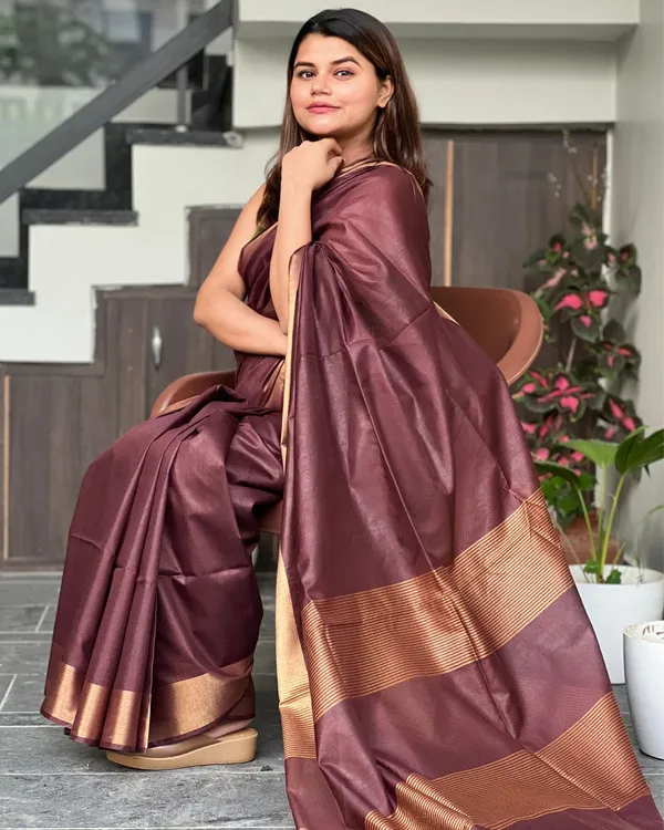 Brown_Akaash_Gamini__Pure_Cotton_Silk_Saree