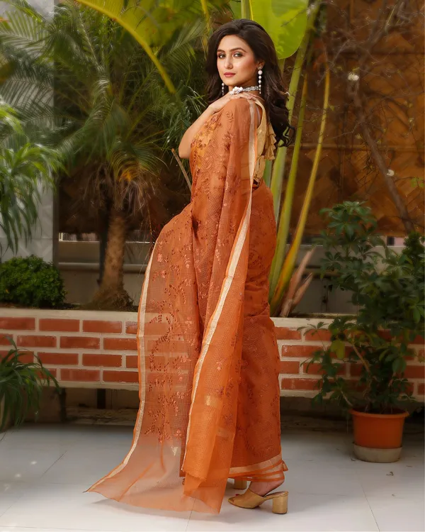 Gehri_Chhaya_Brown_Floral_Embroidery_Saree