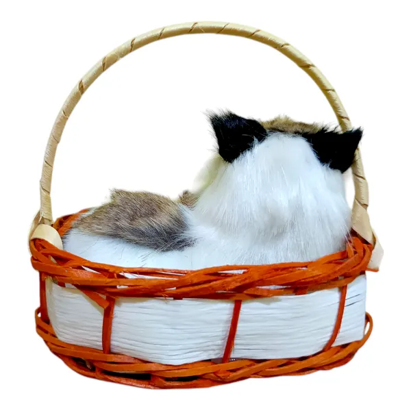 Winsome_Collection_Cat_Showpiece