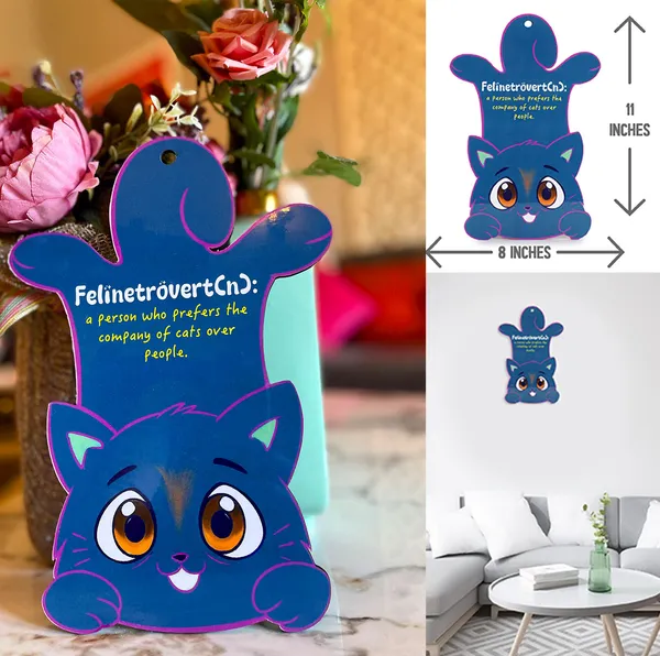 Multicolour_Mixed_Gift_Combo_For_Cat_Lovers
