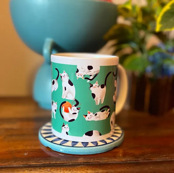 Multicolour_Mixed_Gift_Combo_For_Cat_Lovers