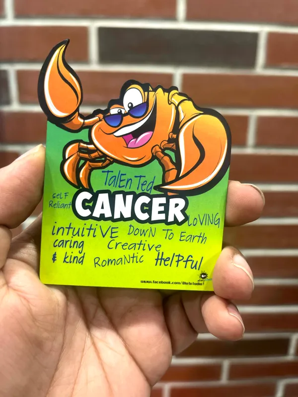 Multicolour_Fridge_Magnet_For_Zodiac_Fans
