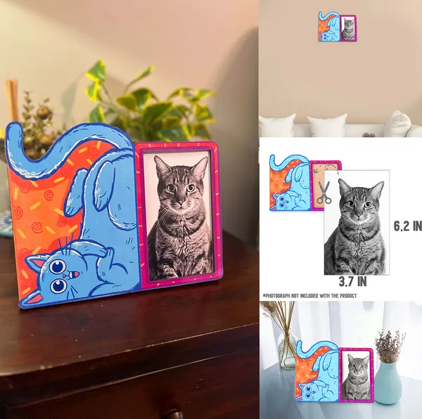 Multicolour_Mixed_Gift_Combo_For_Cat_Lovers